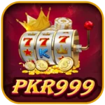 PKR 999
