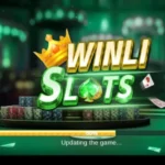 Winli Slots